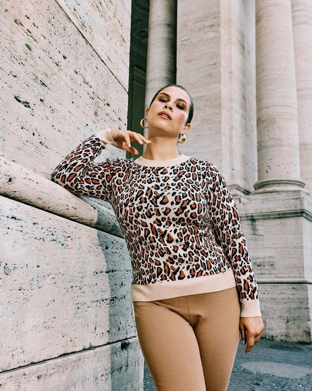 Animal Print Jacquard Round Neck Sweater with Solid Color Contrasts