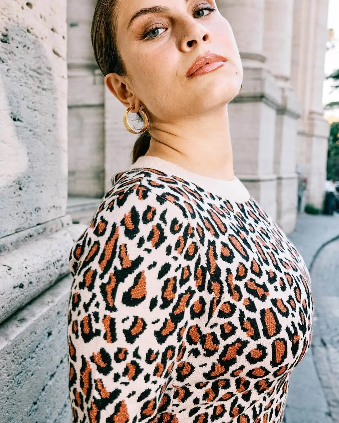 Animal Print Jacquard Round Neck Sweater with Solid Color Contrasts